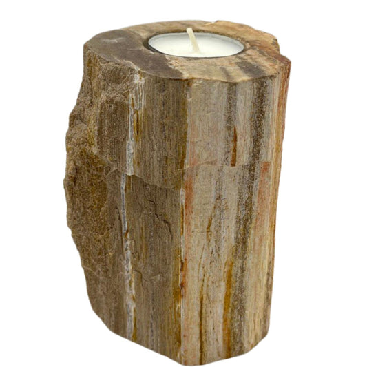 Petrified Wood Tall Single Candle Holder
